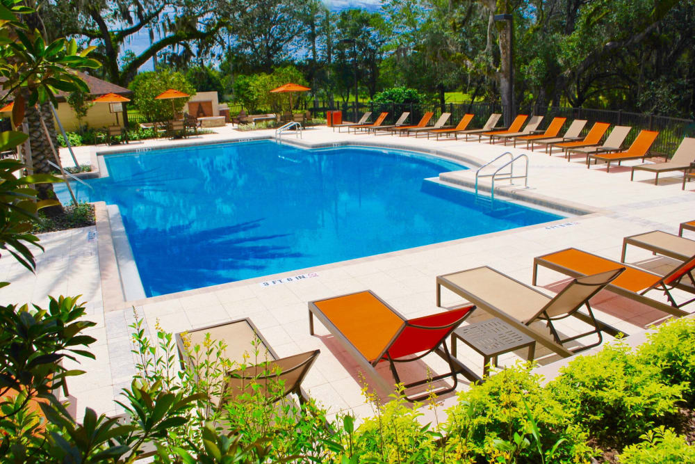 Community inground pool with lounge chairs at Addison at Tampa Oaks in Temple Terrace, Florida