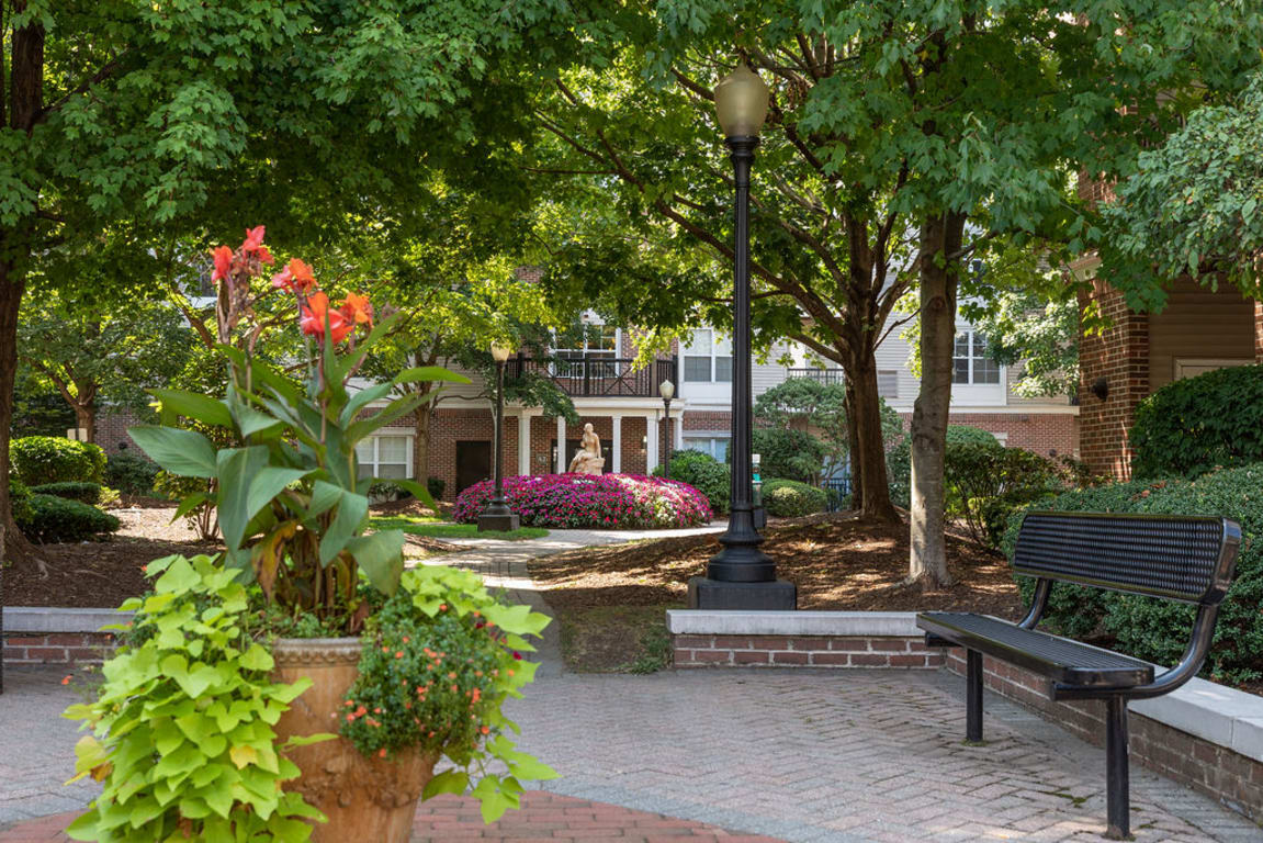 Beautifully landscaped courtyard with a bench at Sofi Parc Grove in Stamford, Connecticut