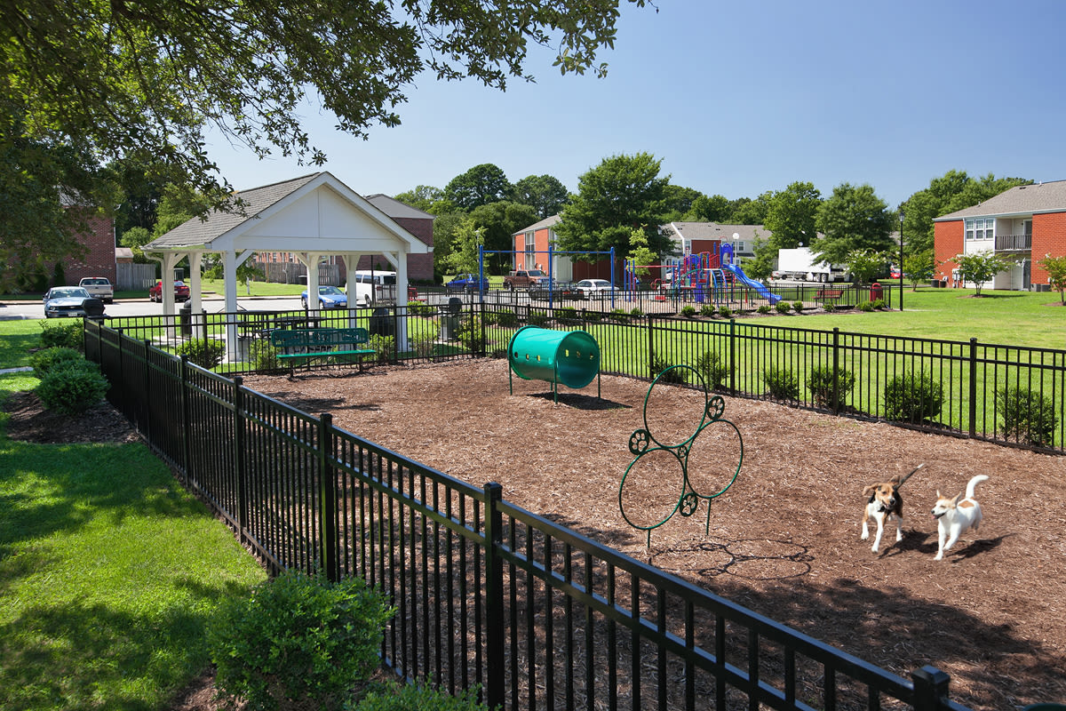 On-site dog park at Northampton Reserve in Hampton, Virginia