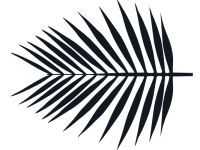 Divider Image