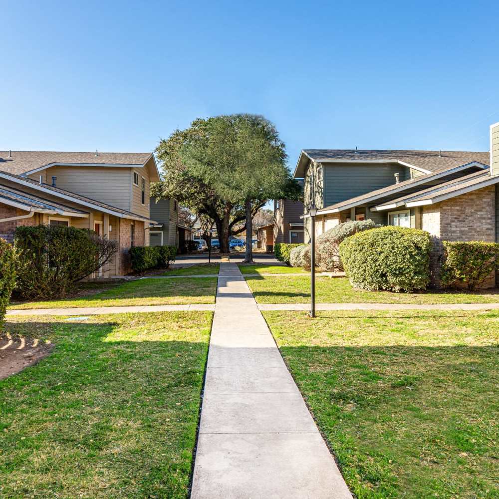 Large tree in center of walkway at The Camaron Townhomes & Flats in San Antonio, Texas