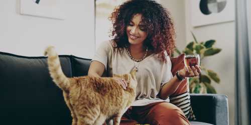 A woman pets an orange cat on a couch at Indian Footprints Apartments in Harrison, Ohio