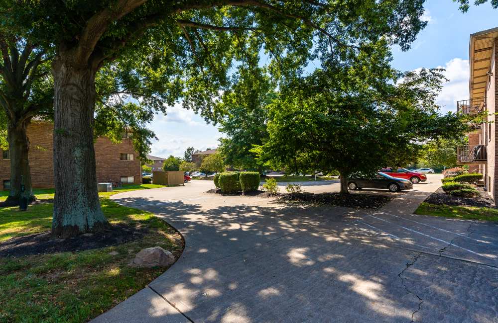 Concrete pathway with trees and parked cars at Indian Footprints Apartments in Harrison, Ohio