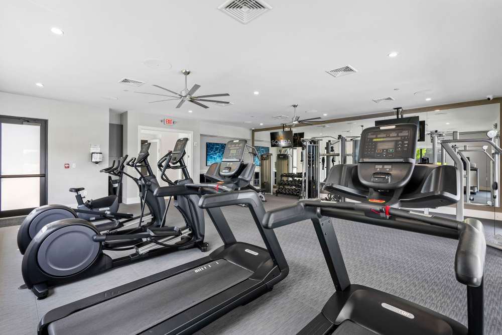 Modern gym featuring treadmills, elliptical machines, free weights, and large mirrors for fitness enthusiasts at Solera at Avalon Trails in Delray Beach, Florida