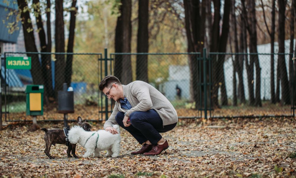 Man playing with two dogs in a pet-friendly park at Crescent Lofts in Davenport, Iowa
