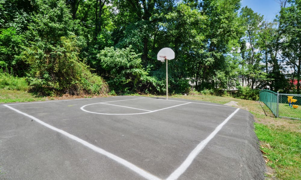 Enjoy Apartments with a Basketball Court at Summit Pointe Apartment Homes