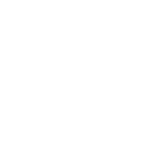 Favicon of Vintage Park