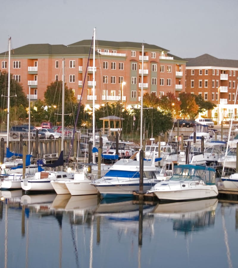 Boats in the marina near Village Square Apartments in Norfolk, Virginia