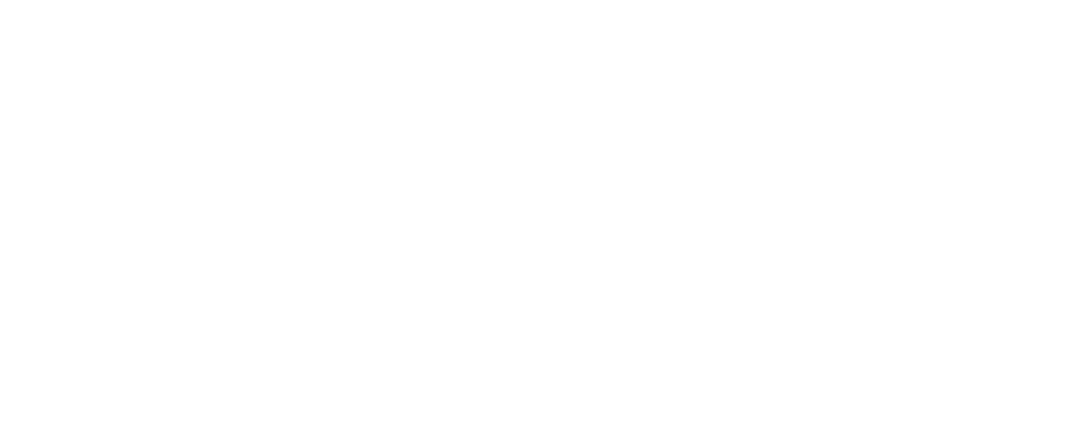 Atlantic Pacific Companies