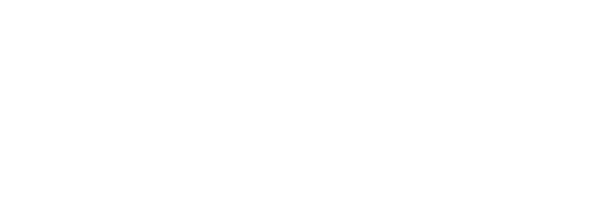 LEVEL 10 MANAGEMENT
