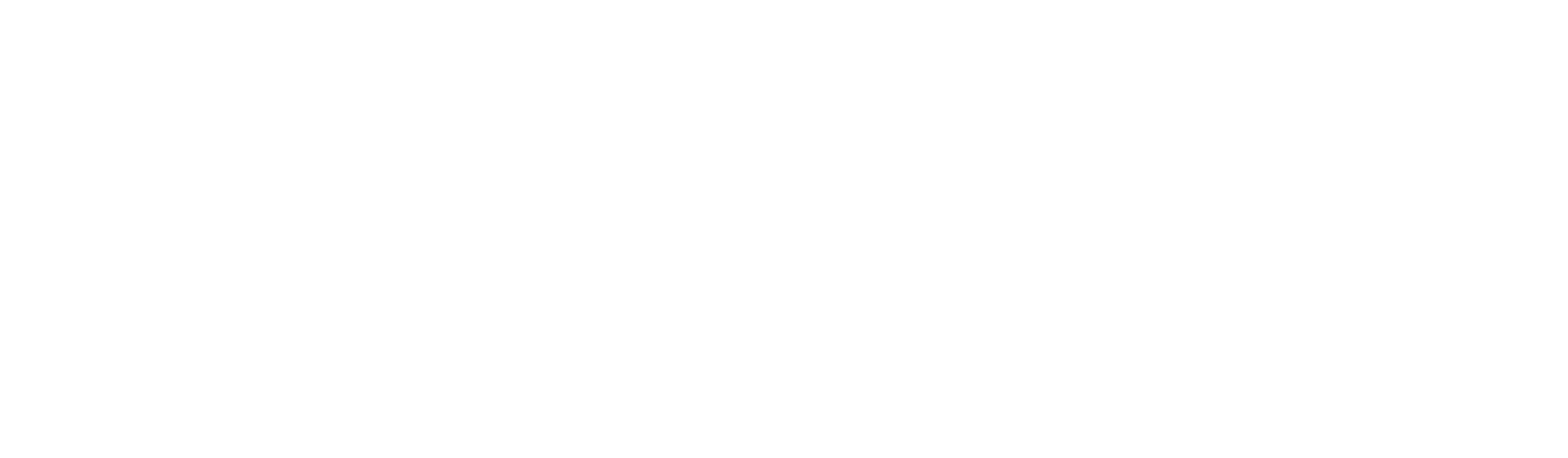 Tempo Logo