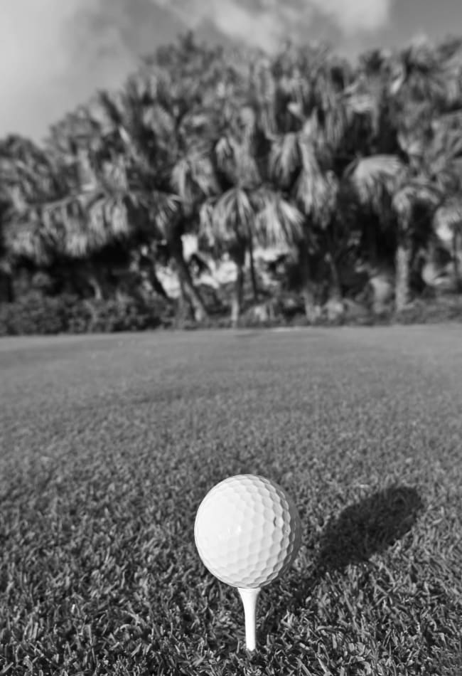 Tee with a golf ball at Inscription West Palm Beach in West Palm Beach, Florida