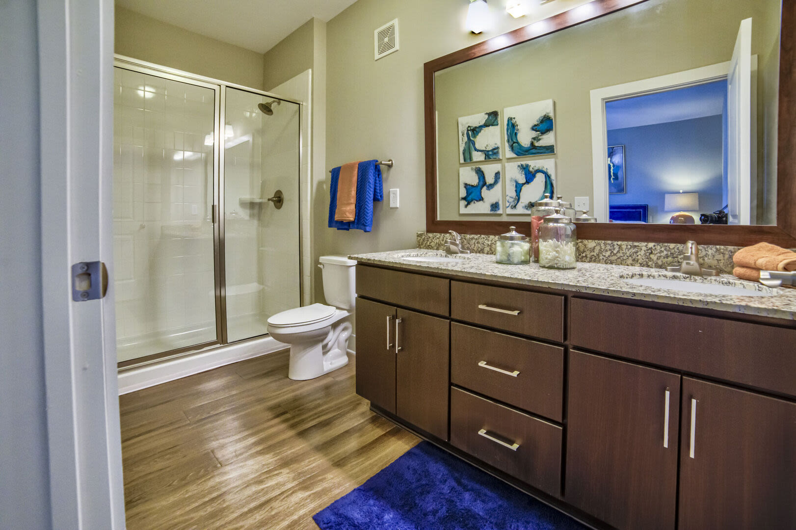 Bathroom with blue accents Avonlea Creekside in Marietta, Georgia