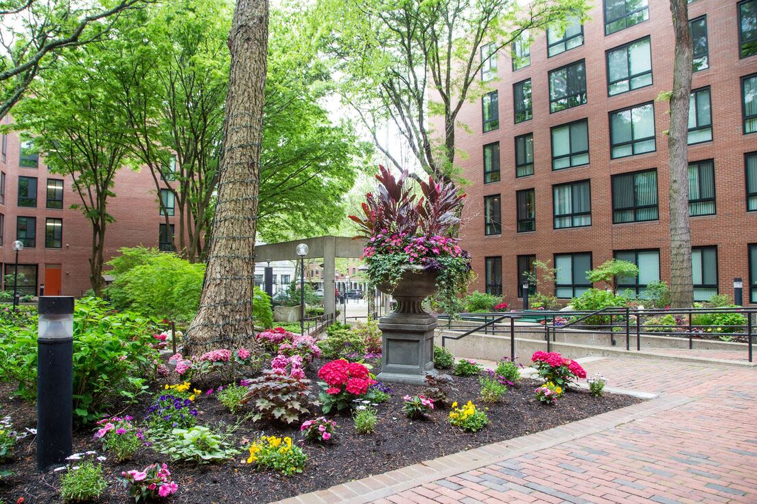 Landscaping near Christopher Columbus Plaza in Boston, Massachusetts