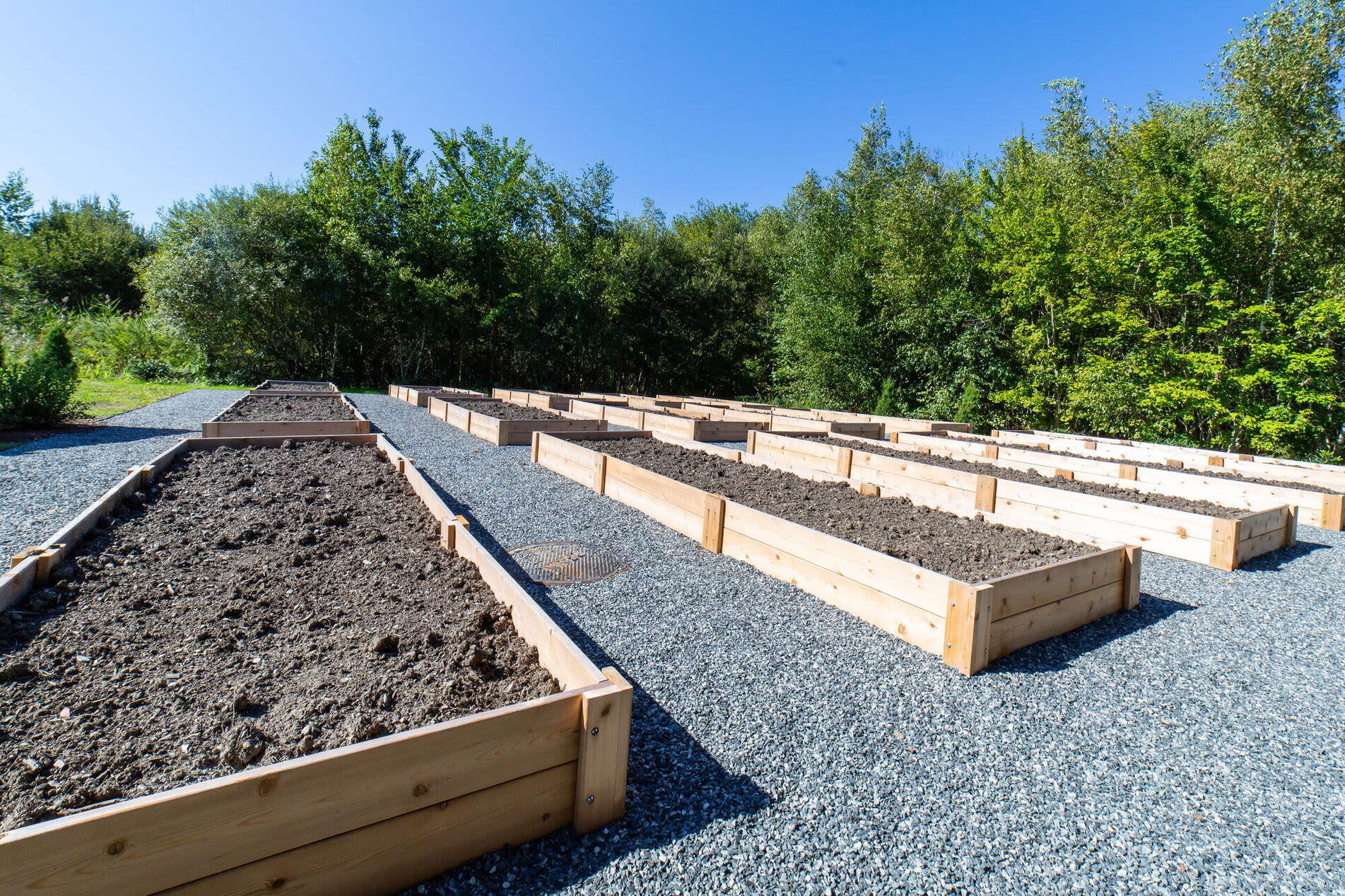 Neatly arranged series of rectangular raised garden beds filled with dark soil at Solara in Tiverton, Rhode Island