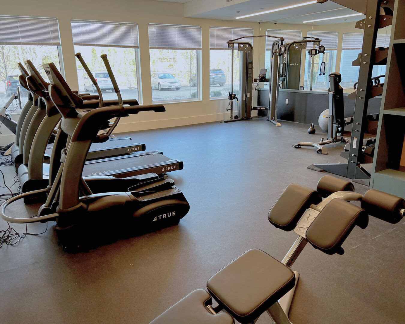 Gym with weight machines, cycles and windows at The Mcelwain School Apartments in Bridgewater,Massachusetts