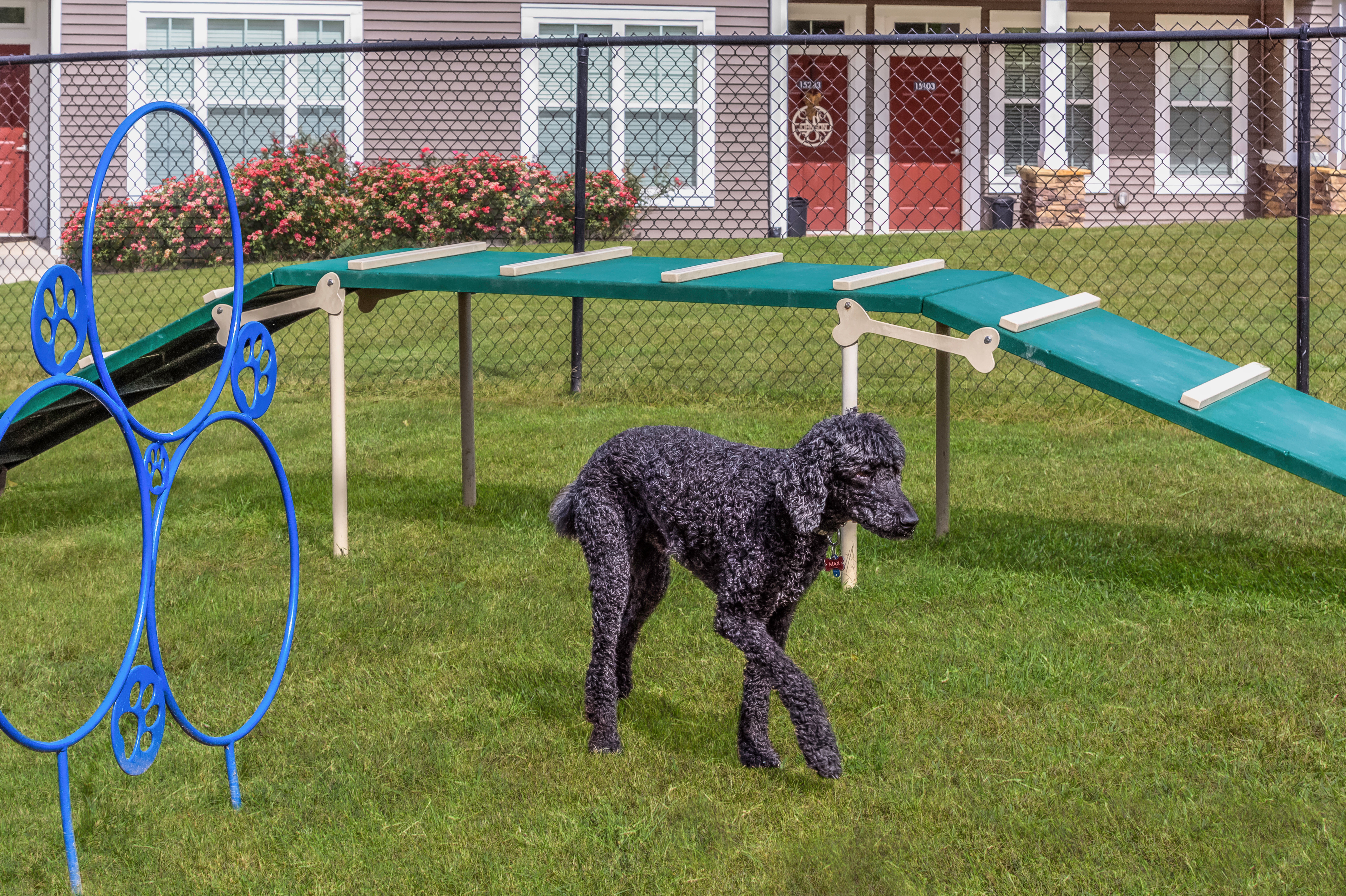 Dog park at The Mills Apartment Homes (2 of 2)