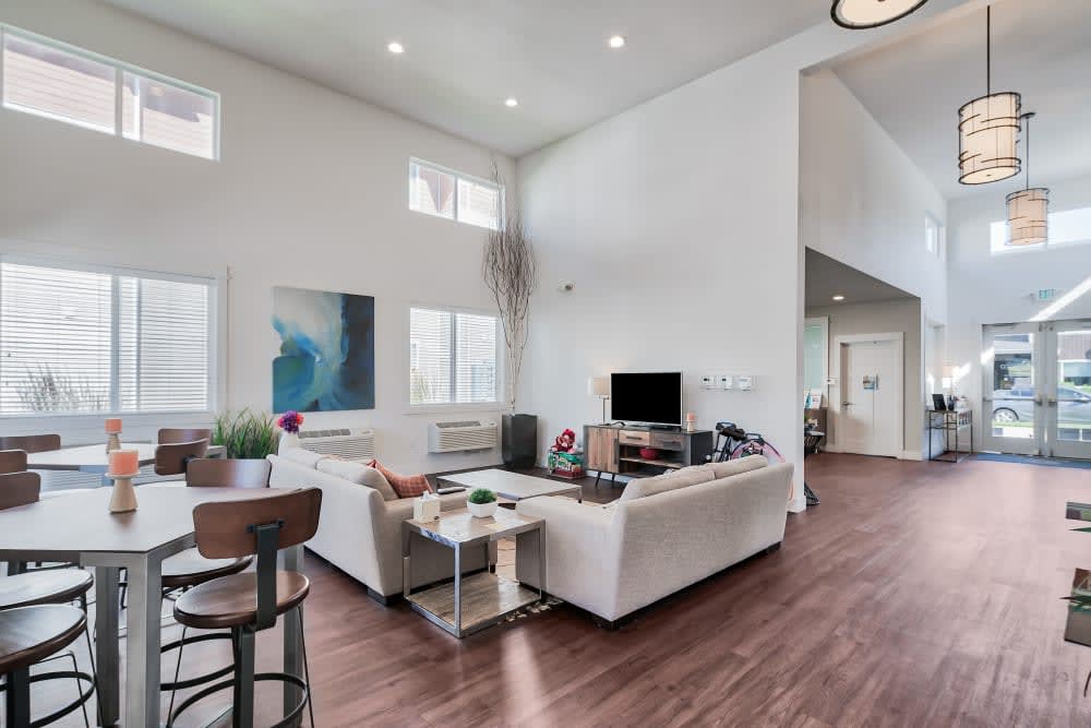 Ecco Apartments 8 of 8
