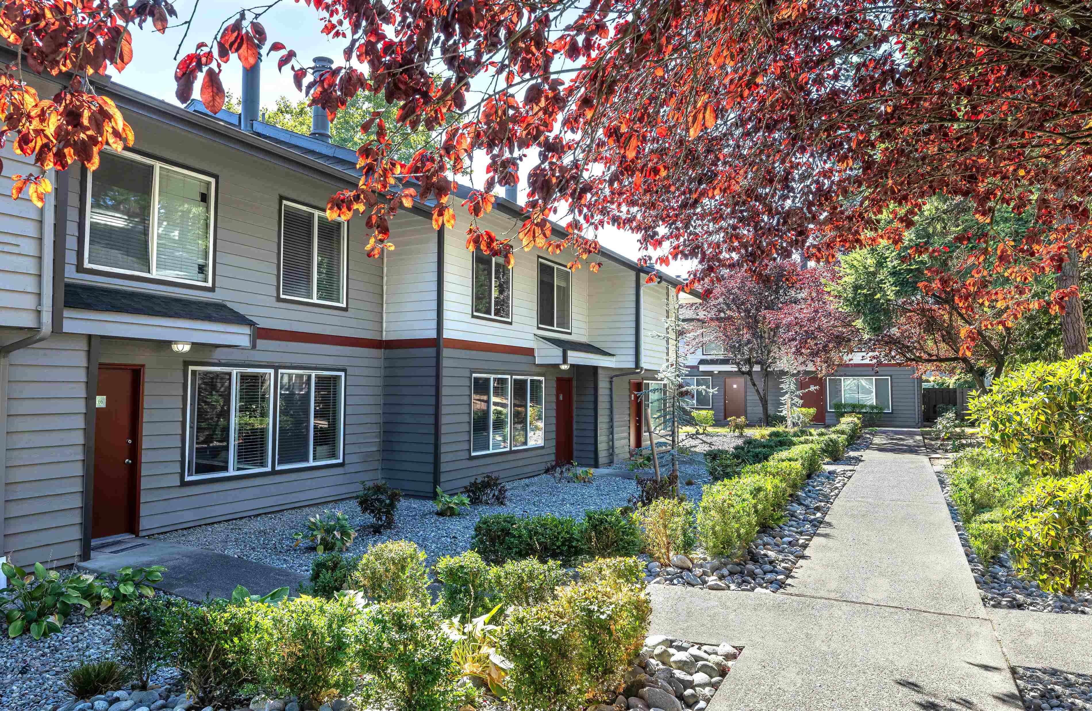 Sidewalk near Alder Bellevue in Bellevue, Washington