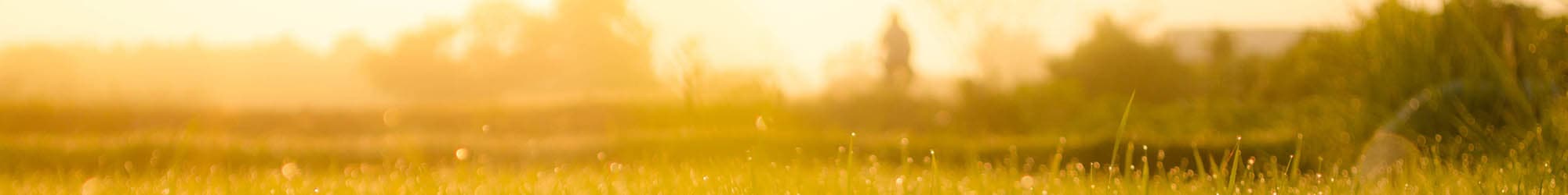 Careers at senior living in Duncan