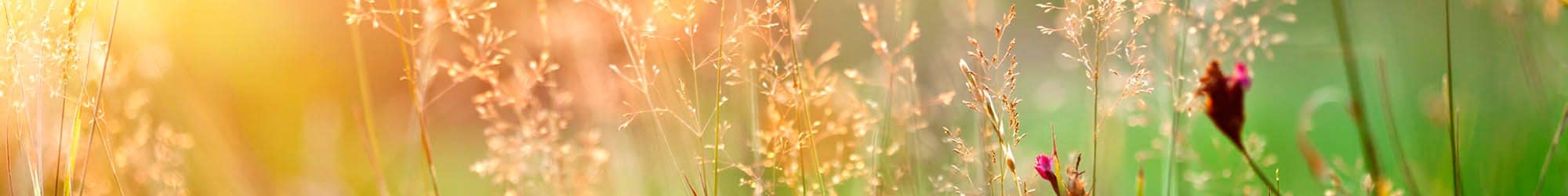 Living options at FountainBrook Assisted Living & Memory Support