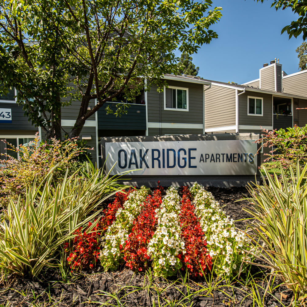 Sign amongst flowers outside of Oak Ridge Apartments in Sacramento, California