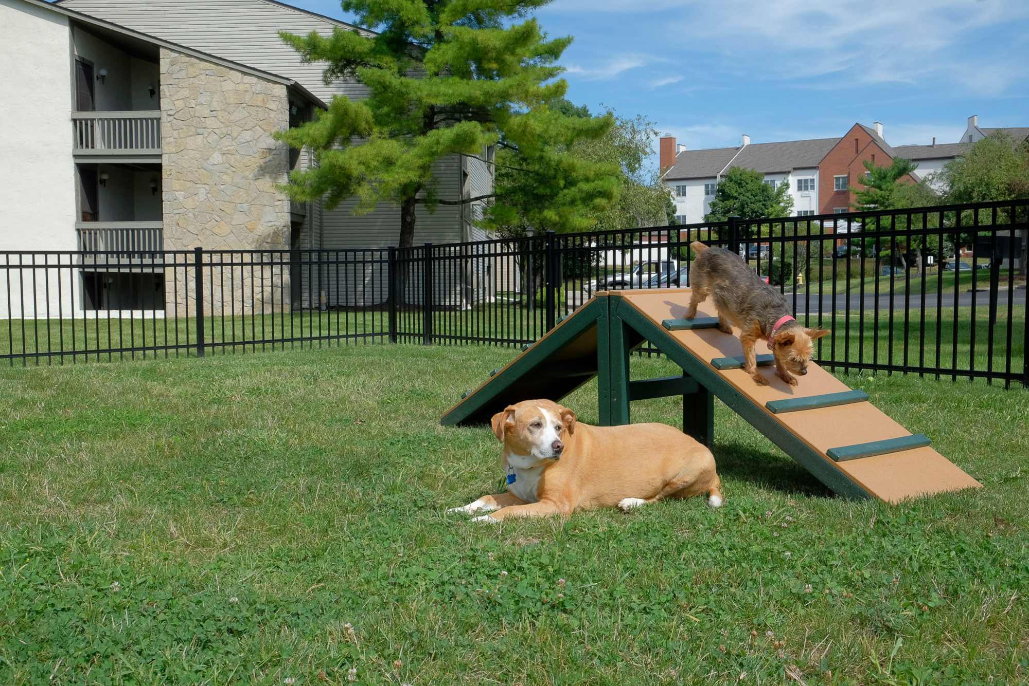 Village dog park at Pointe at Northern Woods in Columbus, Ohio
