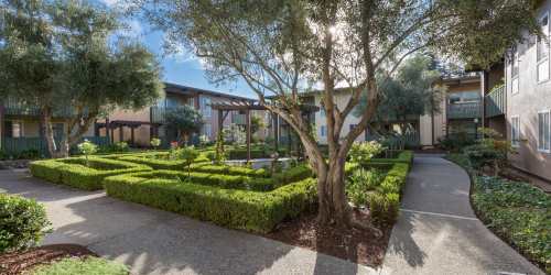 Manicured landscaping at Whitman Green in Hayward, California