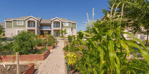The community garden at Sky Vista Commons North & South in Reno, Nevada