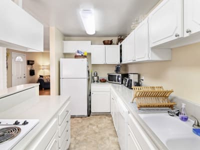 View floor plans at Mango Tree in Santa Ana, California