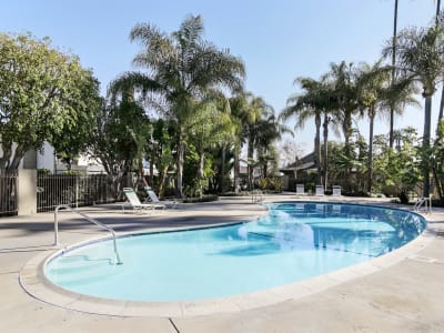 View amenities at Mango Tree in Santa Ana, California
