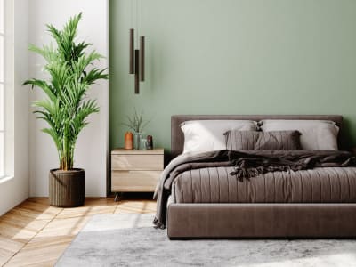 View floor plans at Argyle Apartments in Los Angeles, California