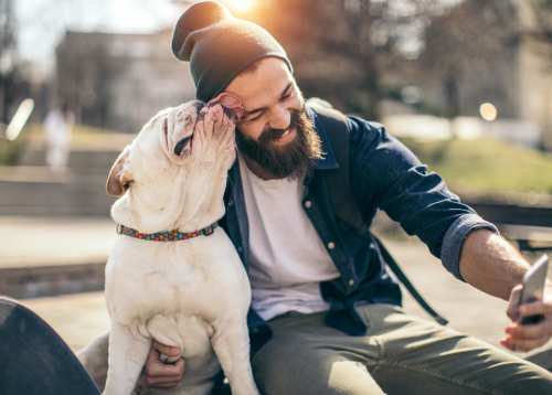 Resident bonding with his dog at Bellevue Ridge Apartments in Bellevue, Washington
