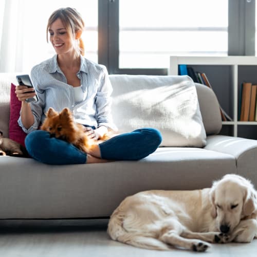 a woman sitting on the couch with her dogs at Santa Rosa in Point Mugu, California
