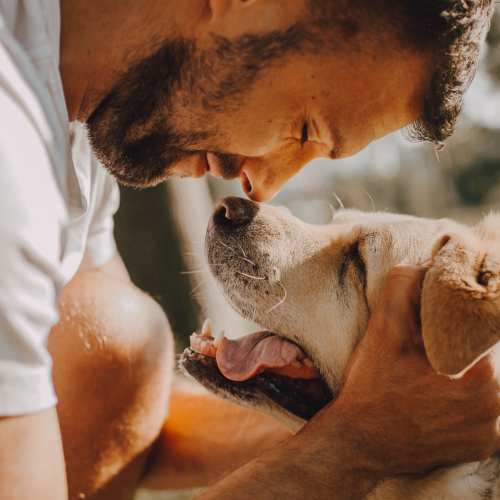 sharing a moment with a dog at 16th Street in Yuma, Arizona
