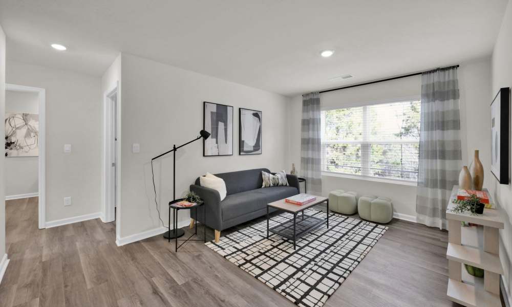 Interior of an apartment living room at Miller Landing in Cleveland, Tennessee
