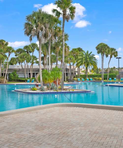 Beautiful swimming pool with trees at Park Avenue in Jacksonville, Florida