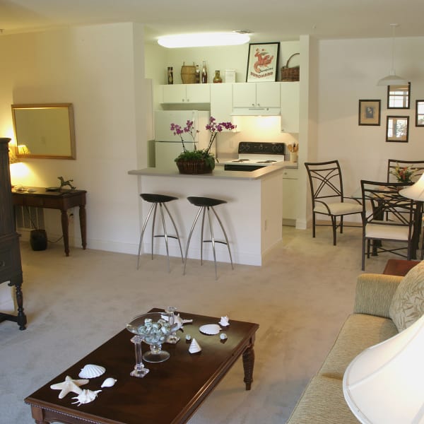 View floor plans offered at Beachside Apartments in Satellite Beach, Florida