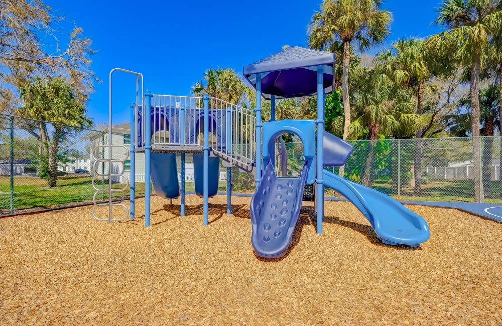 Playground at Reserve at Lake Pointe Apartments & Townhomes in St Petersburg, Florida