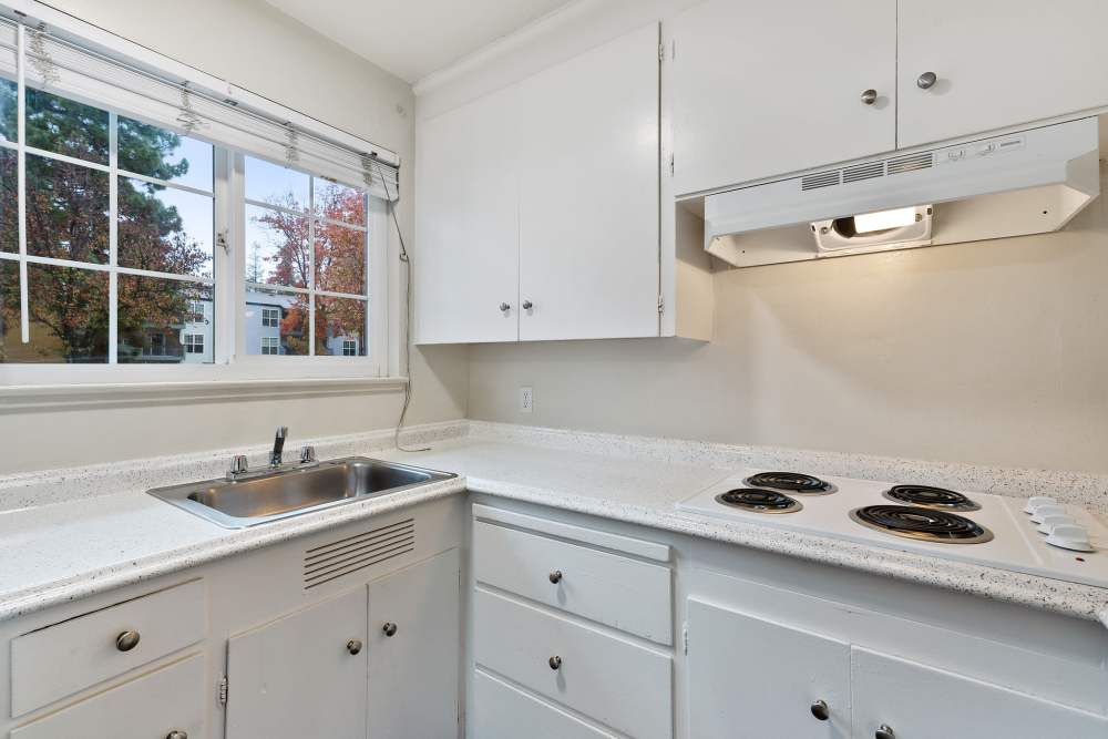 Fully equipped kitchen with stainless-steel sink and white cabinetry at Parkway Apartments in Fremont, California