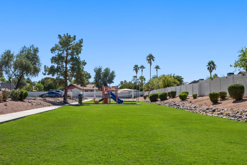 Green field and play structure at Cielo on Gilbert in Mesa, Arizona
