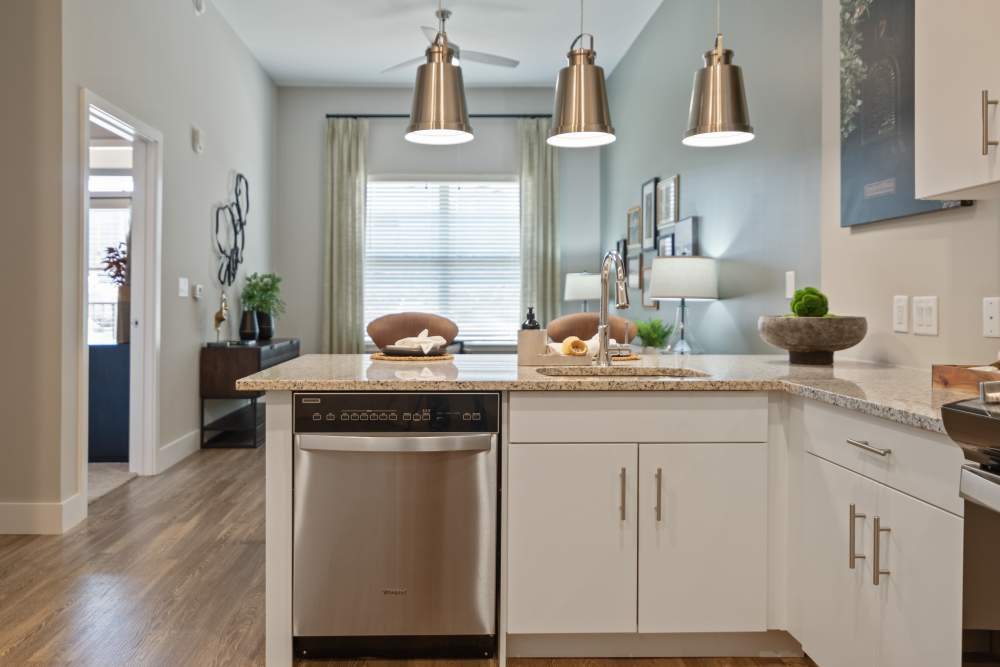 Kitchen with a dishwasher at 101 Depot in Smyrna, Tennessee
