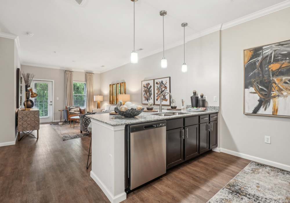 Modern interiors appliances and finishes at The Cascades in Antioch, Tennessee