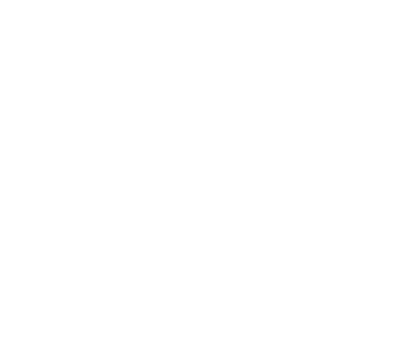 STINTINO MANAGEMENT LLC