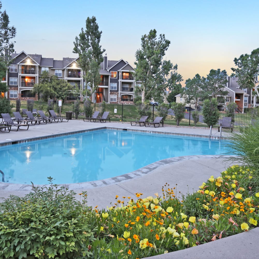 community pool at The Pines at Castle Rock Apartments in Castle Rock, Colorado