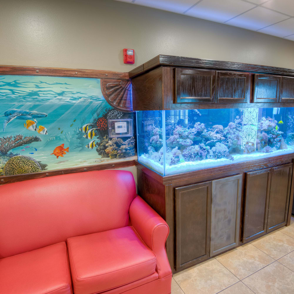 Fish tank at Inspired Living Hidden Lakes in Bradenton, Florida