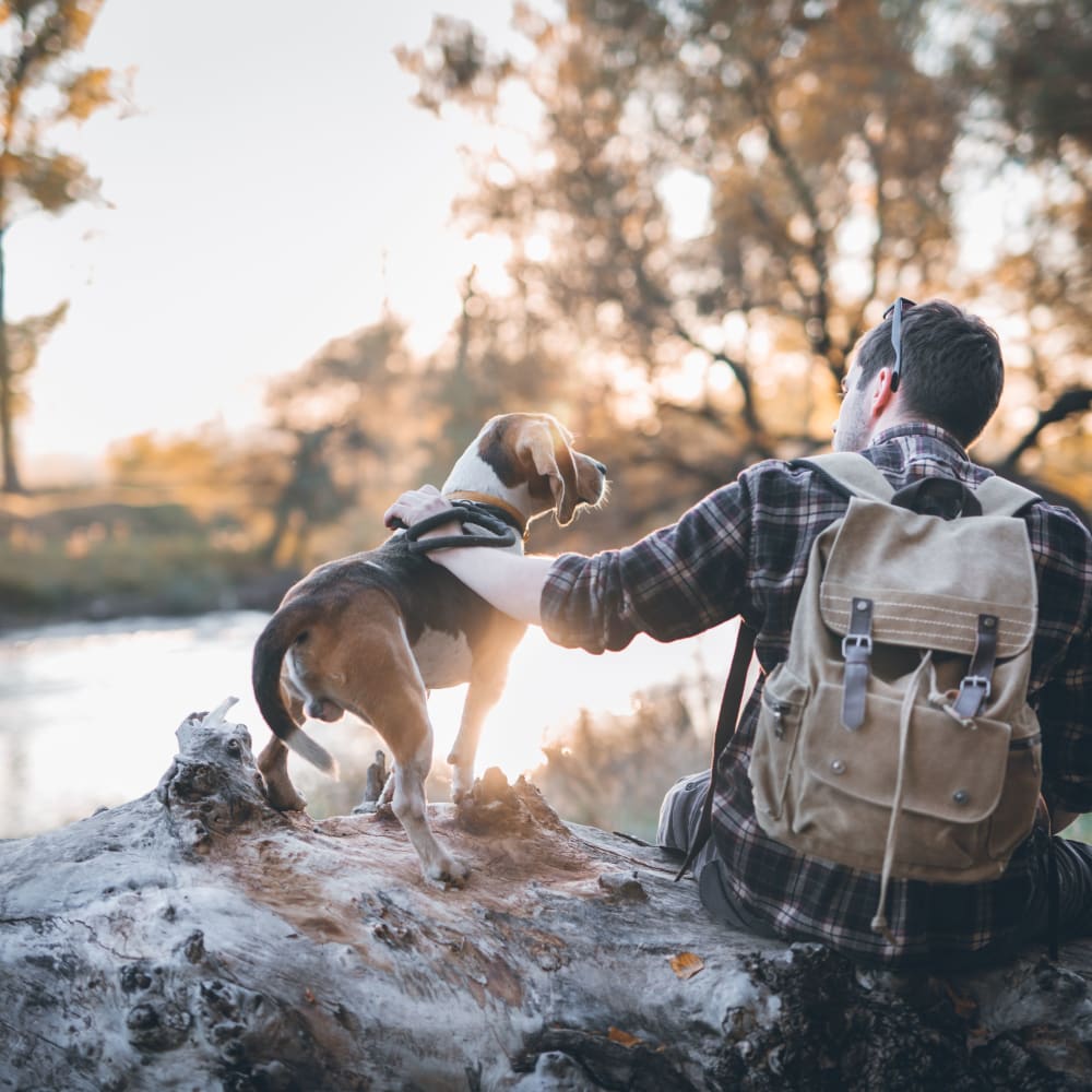 Resident out on a hike with his dog near LATITUDE at Kent in Kent, Ohio