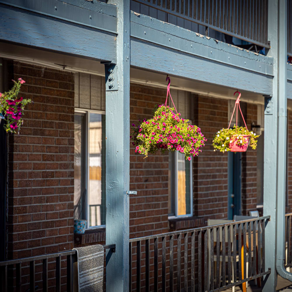 Flowers hanging outside balcony at Crestone Apartments in Brighton, Colorado