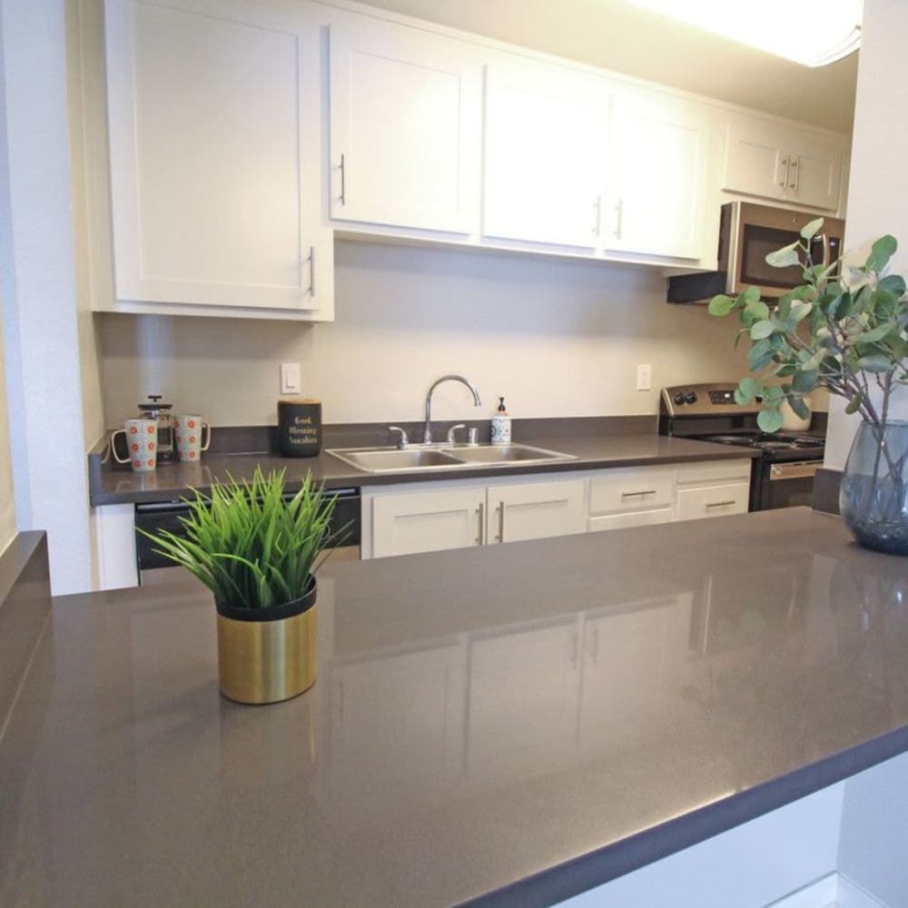 Kitchen countertop at The Davenport in Sacramento, California