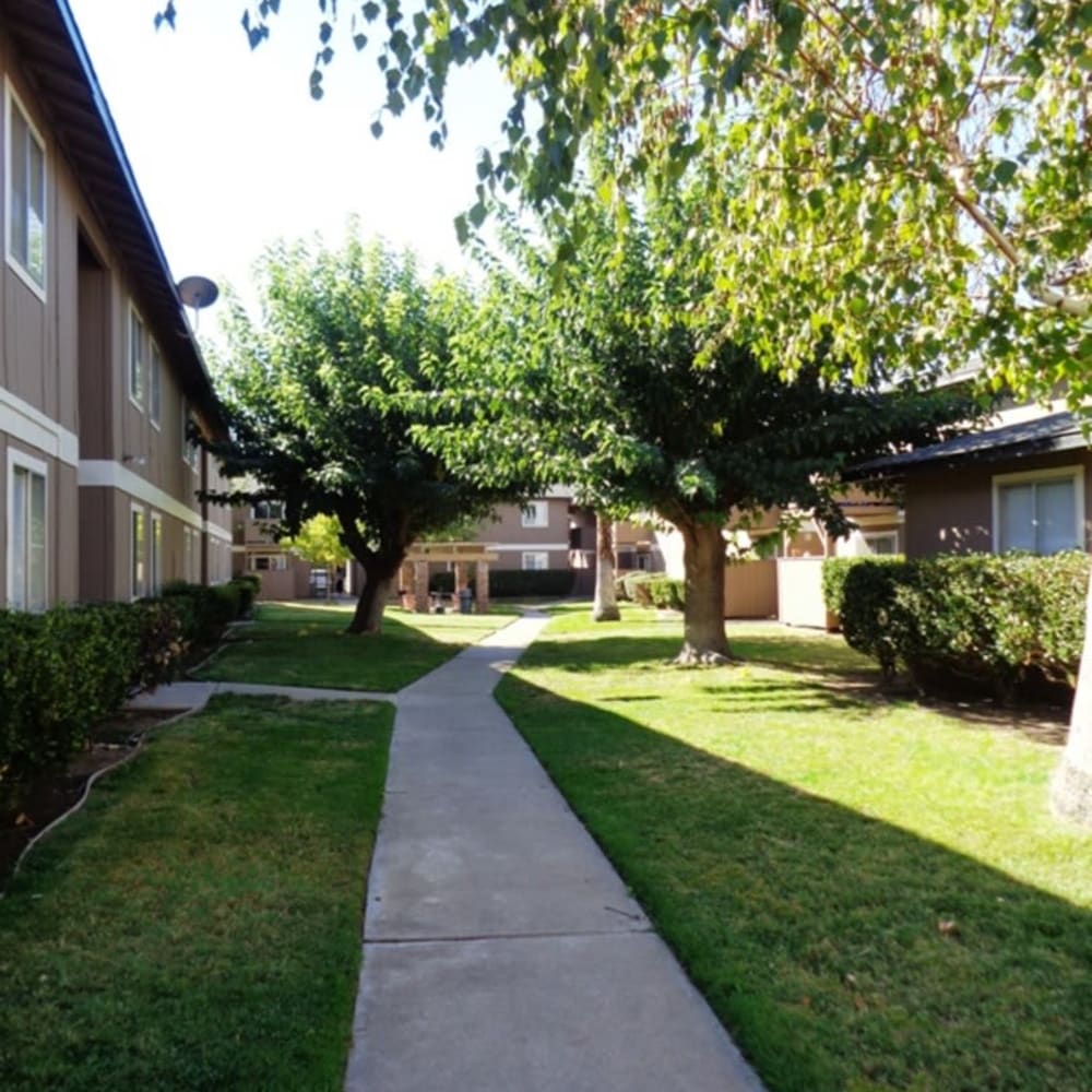 Grassy lawns at Amber Park in Sacramento, California
